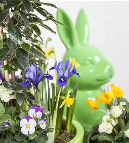 DAS GARTENPARADIES FüR OSTERHASEN