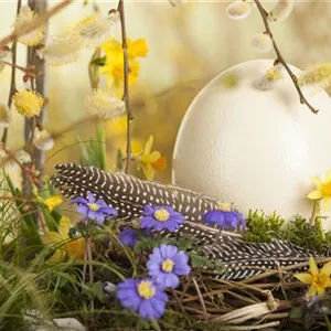 DAS GARTENPARADIES FüR OSTERHASEN