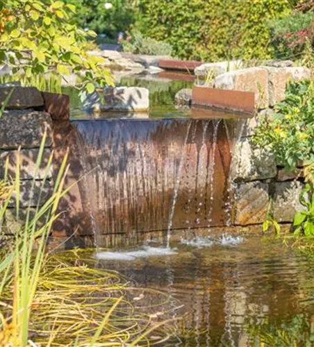 WASSERPFLANZEN FüR DEN GARTENTEICH