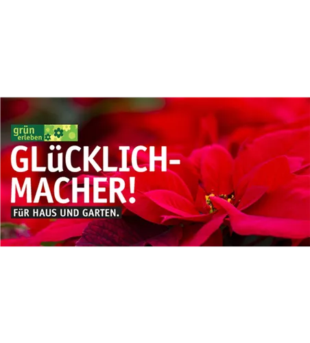 Gutschein Motiv GLÜCKLICHMACHER in rot