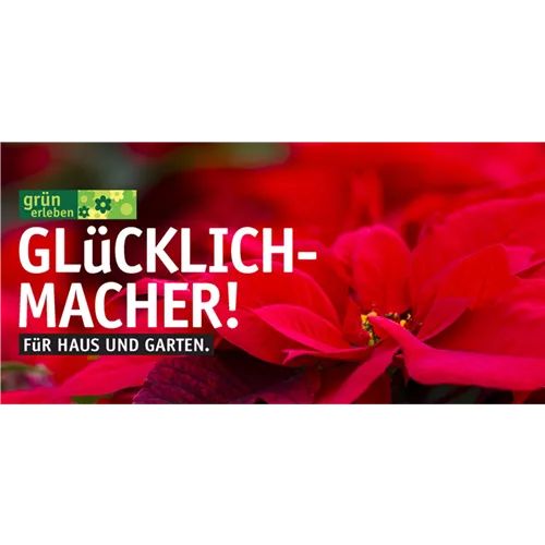 Gutschein Motiv GLÜCKLICHMACHER in rot