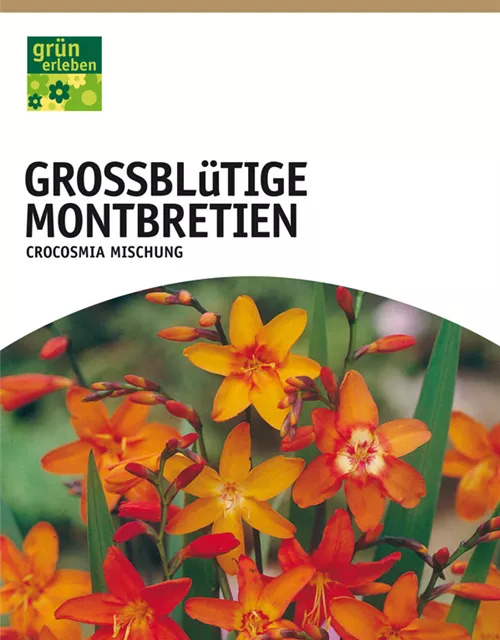 GE Montbretien großbl. x10 6/+ Crocosmia großblütig orange