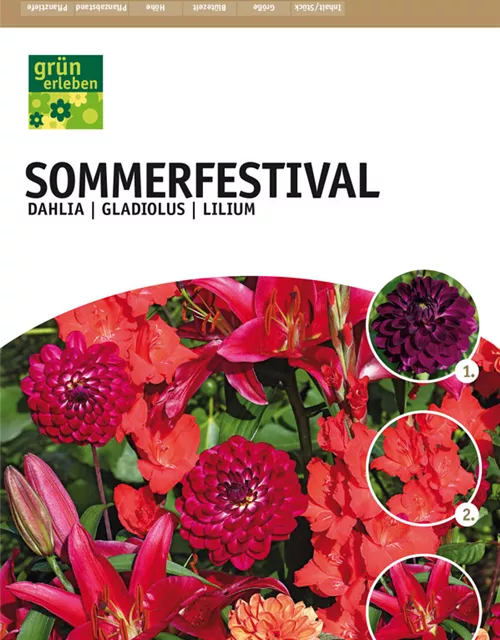 GE Sommerfestival Mischung x12 Summerfestival x12 TOP