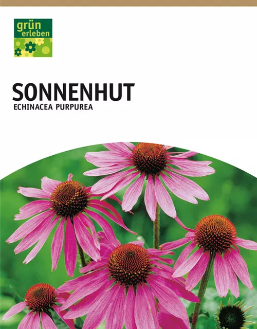 GE Echinacea purpurea x3 Sonnenhut purpur rosa