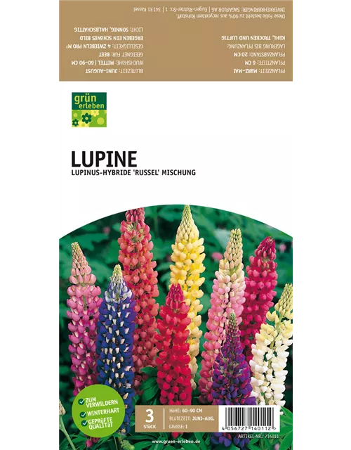 GE Lupinus Russell Hybr. x3 Lupine Mischung