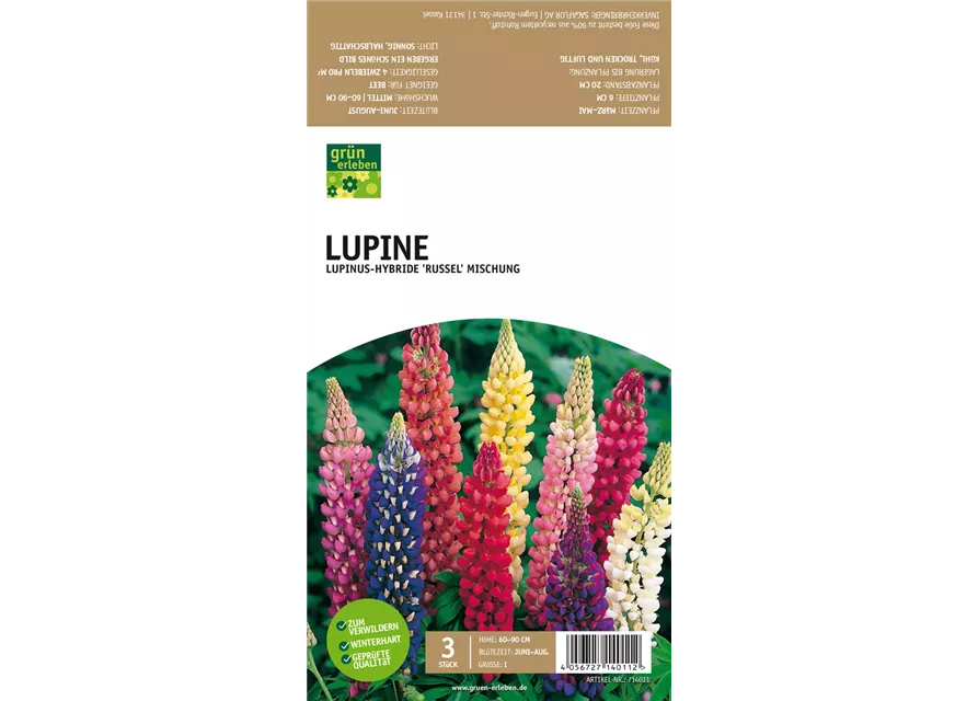 GE Lupinus Russell Hybr. x3 Lupine Mischung