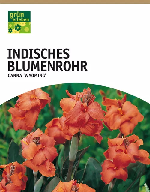 GE Canna Ind. rotl. Wyoming x1 Blumenrohr orange