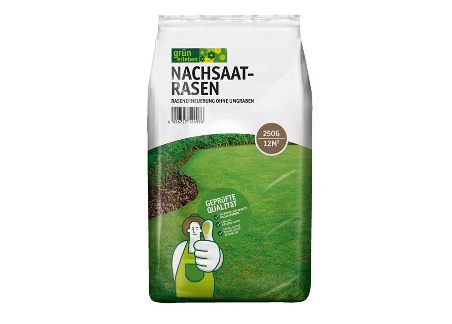 GE Nachsaatrasen 1kg