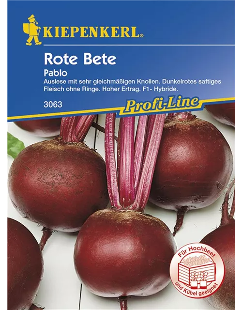 Rote Beete Pablo Preisgruppe D 