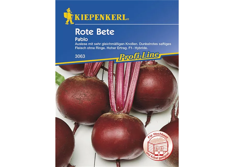 Rote Beete Pablo Preisgruppe D 