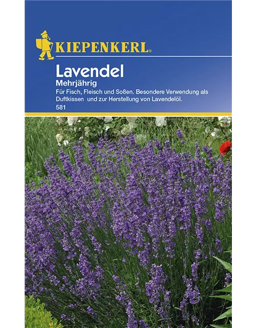 Lavendel Mehrjährig KIE-C