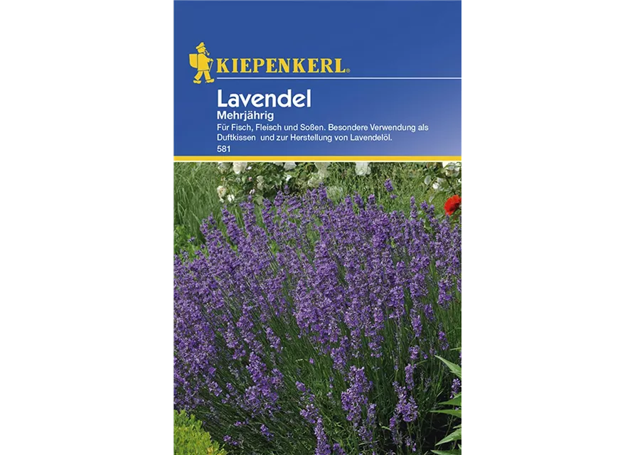 Lavendel Mehrjährig KIE-C