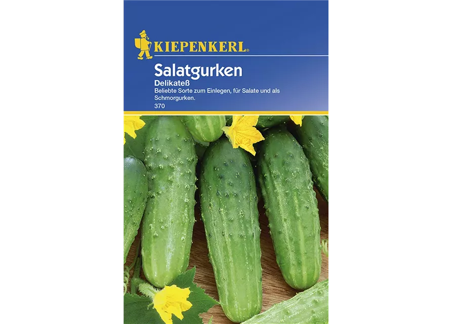 Salatgurke Delikateß KIE-C