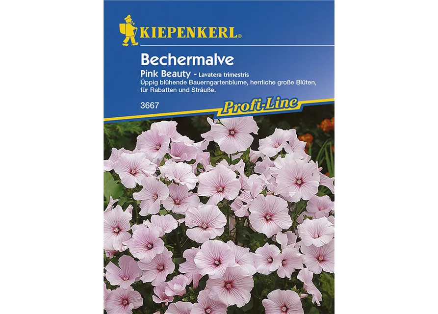 Bechermalve Preisgruppe K