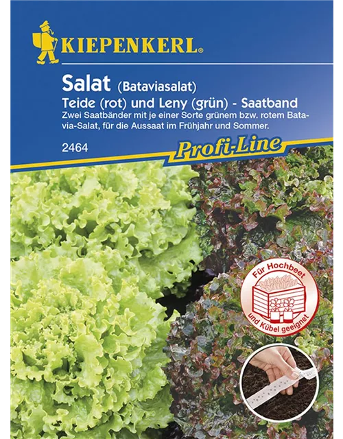 Kiepenkerl Salat Batavia Mix Saatb. PG R