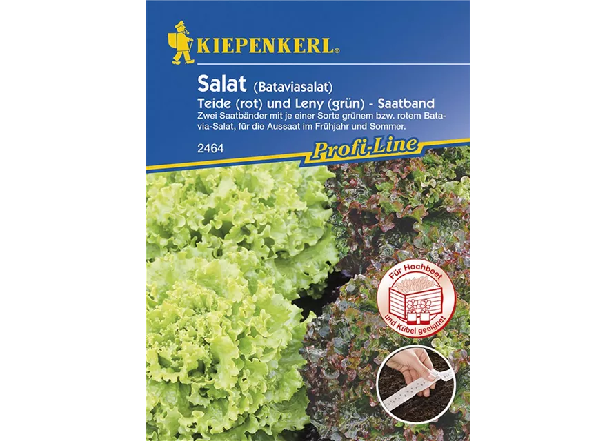 Kiepenkerl Salat Batavia Mix Saatb. PG R