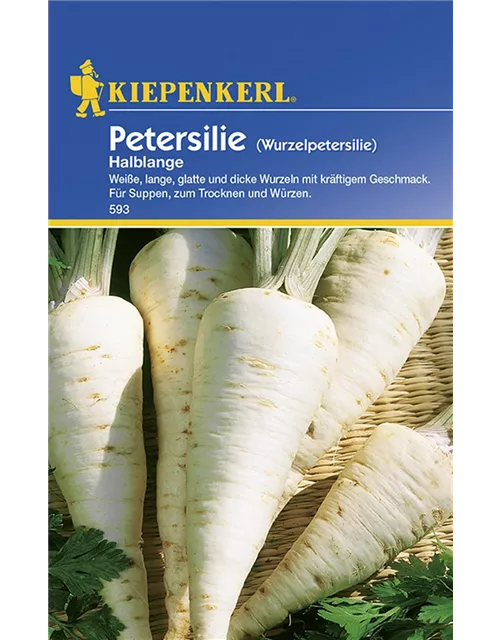 Petersilie Wurzelpeters. KIE-C