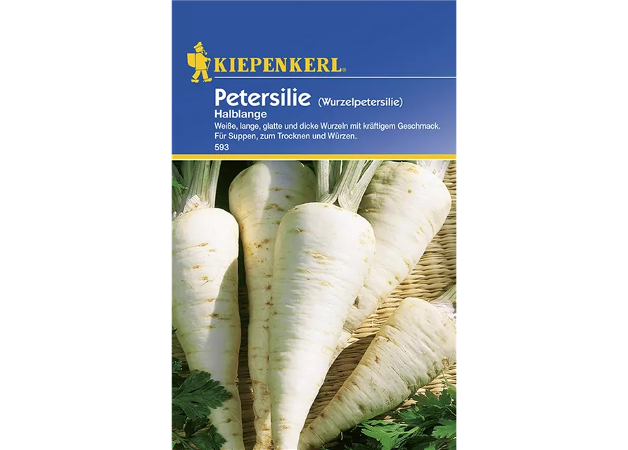 Petersilie Wurzelpeters. KIE-C