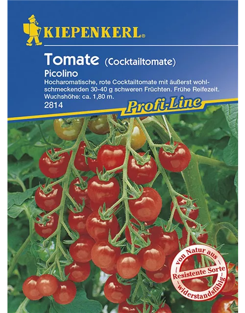 Cocktailtomate Picolino