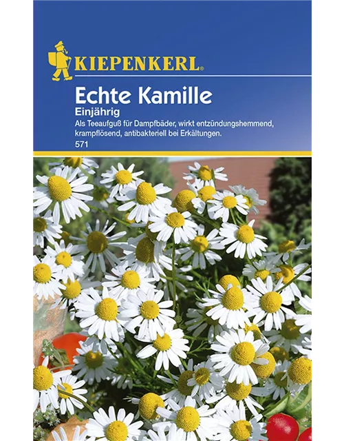 Kamille Einjaehrig Echte Preisgruppe B