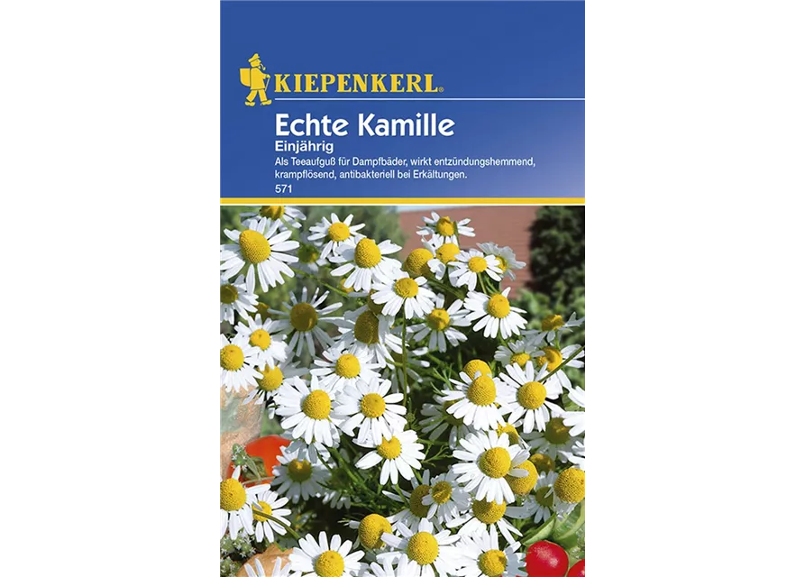 Kamille Einjaehrig Echte Preisgruppe B