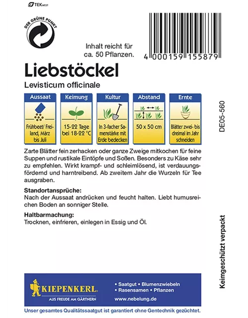 Maggikraut Liebstöckel KIE-C