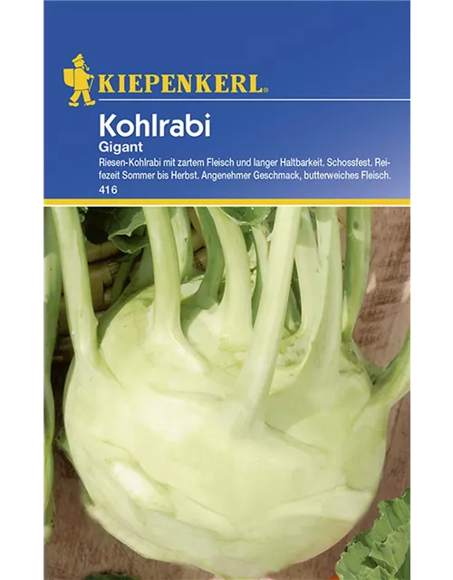 Kohlrabi Gigant Preisgruppe C