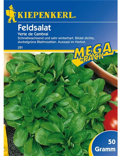 Feldsalat V. de Cambrai Preisgruppe C