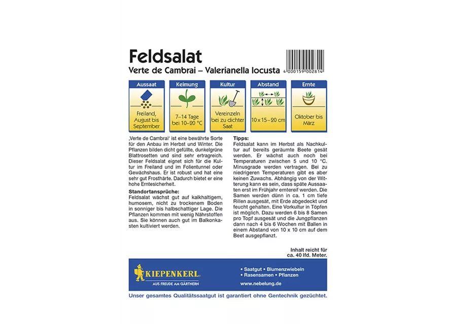 Feldsalat V. de Cambrai Preisgruppe C