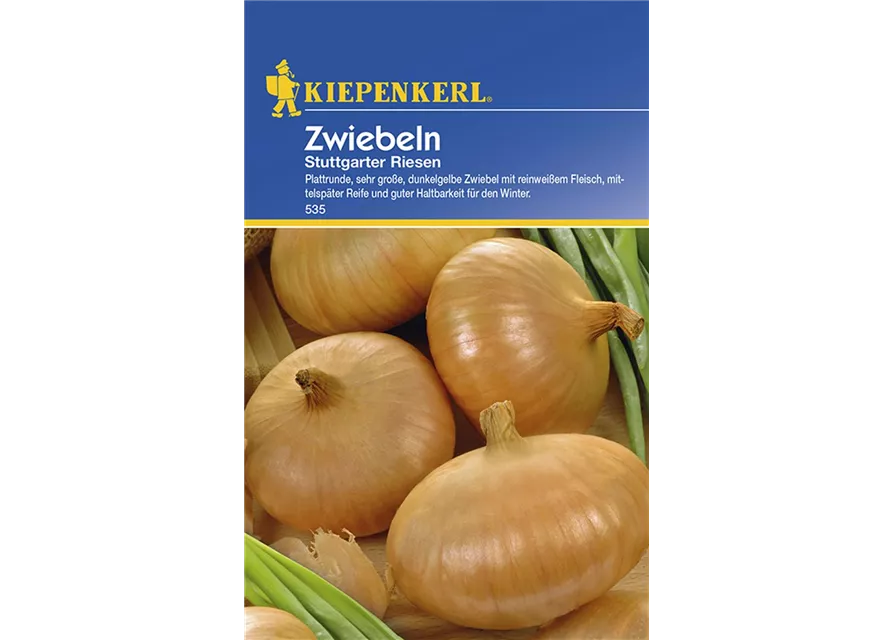 Zwiebeln Stuttg.Riesen KIE-C