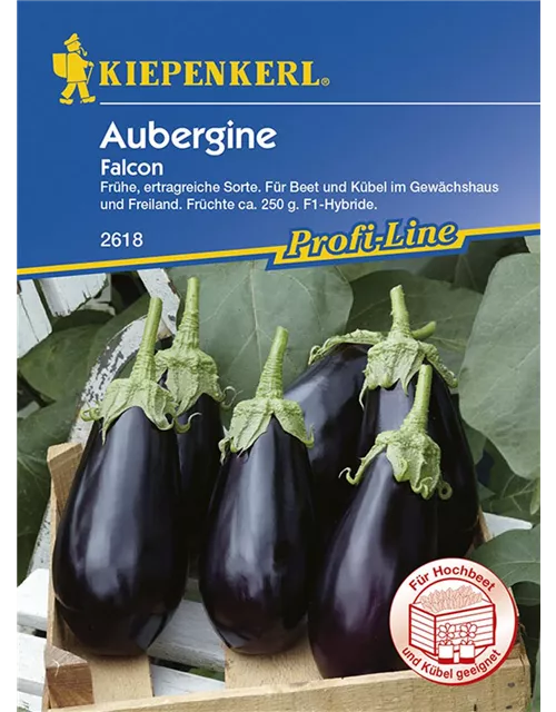 Kiepenkerl Aubergine Falcon PG N