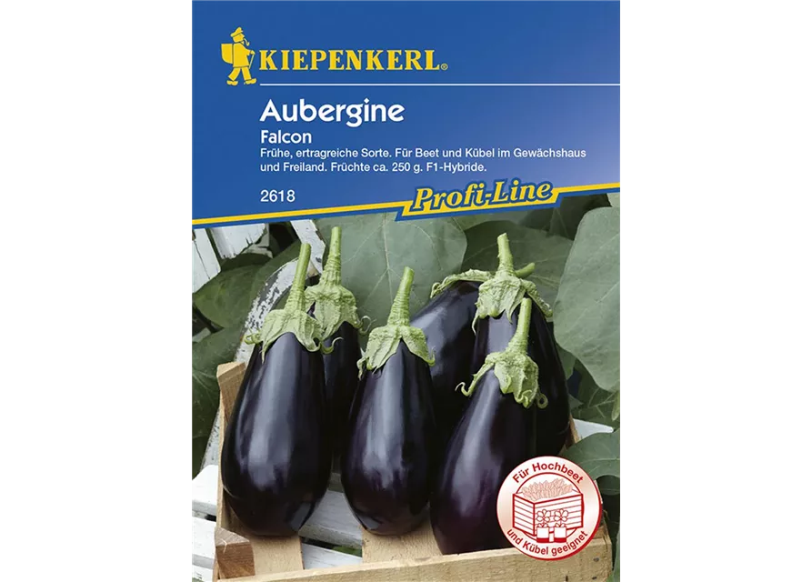 Kiepenkerl Aubergine Falcon PG N