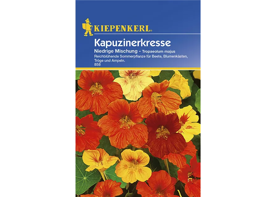 Tropaeolum Niedrige Mix Preisgruppe C