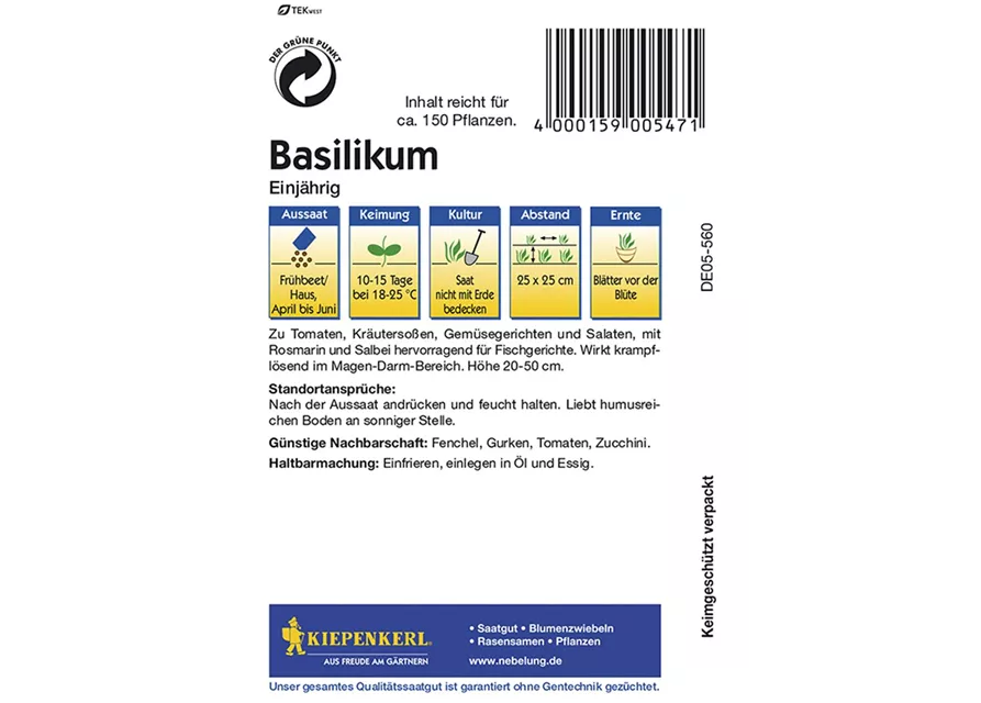 Basilikum -Feinblättrig