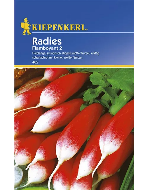 Radies Flamboyant 2 Preisgruppe C