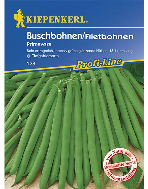 Buschbohnen Primavera Preisgruppe K