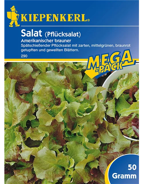 Pfluecksalat Amerik. Preisgruppe C