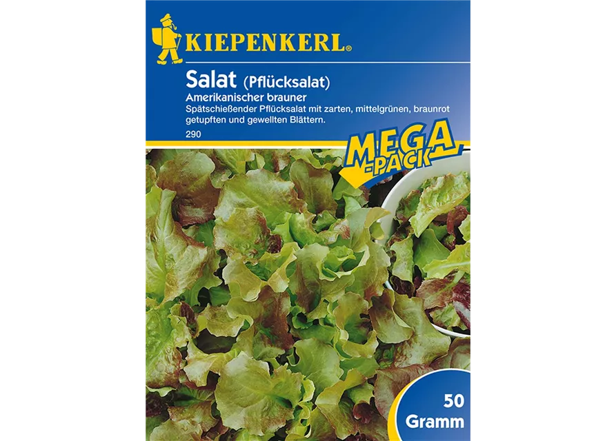 Pfluecksalat Amerik. Preisgruppe C