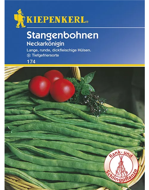 Kiepenkerl Stangenbohne Neckarkönigin PG G