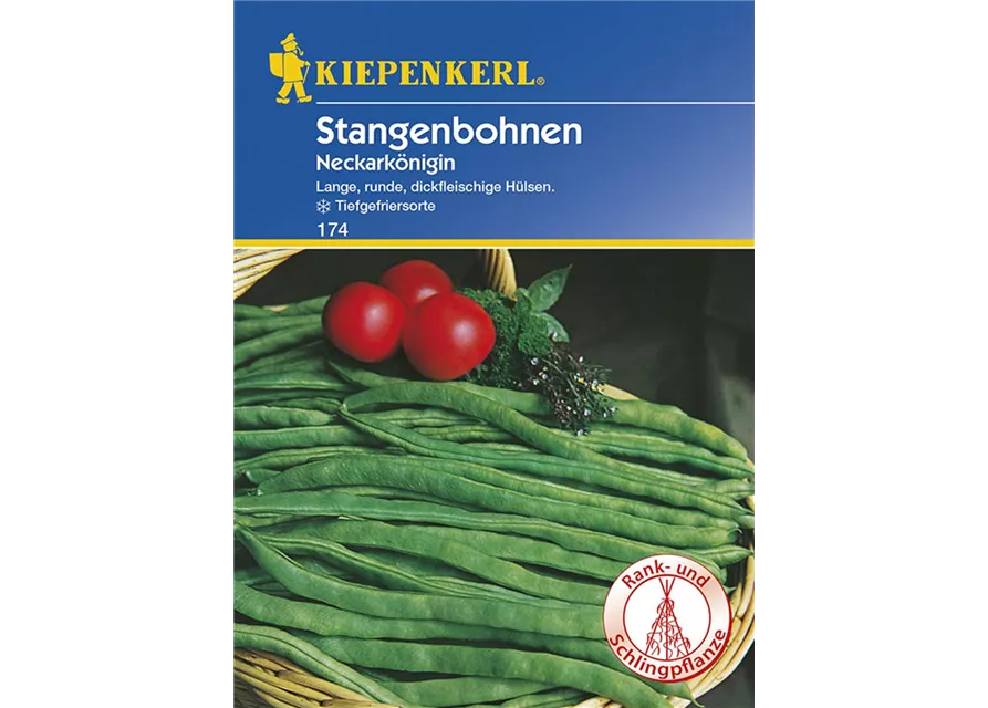 Kiepenkerl Stangenbohne Neckarkönigin PG G