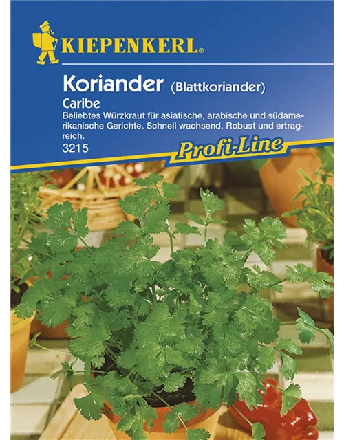 Koriander Caribe