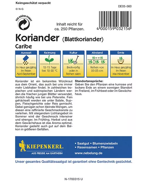 Koriander Caribe