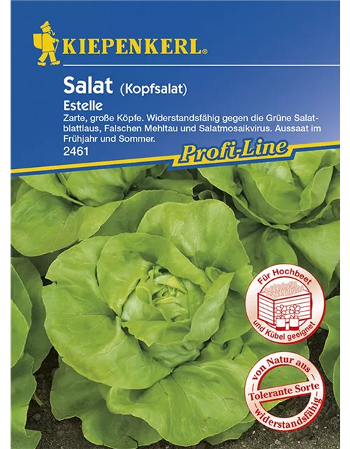 Kiepenkerl Kopfsalat Estelle PG N