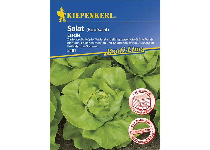 Kiepenkerl Kopfsalat Estelle PG N