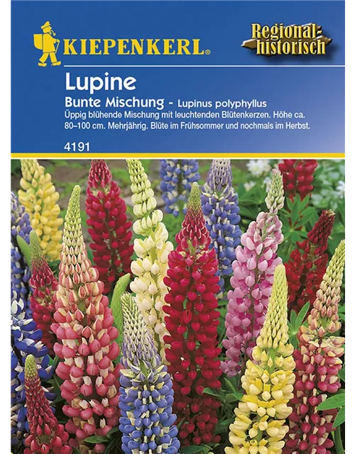 Kiepenkerl Lupinus bunte Mischung PG D