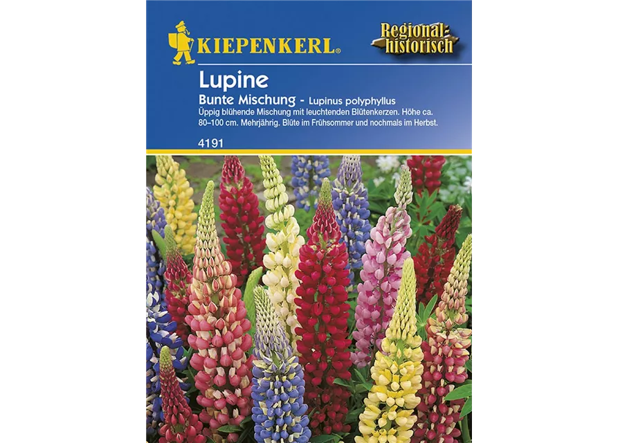 Kiepenkerl Lupinus bunte Mischung PG D