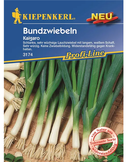 Kiepenkerl Lauchzwiebel Kaigaro PG N