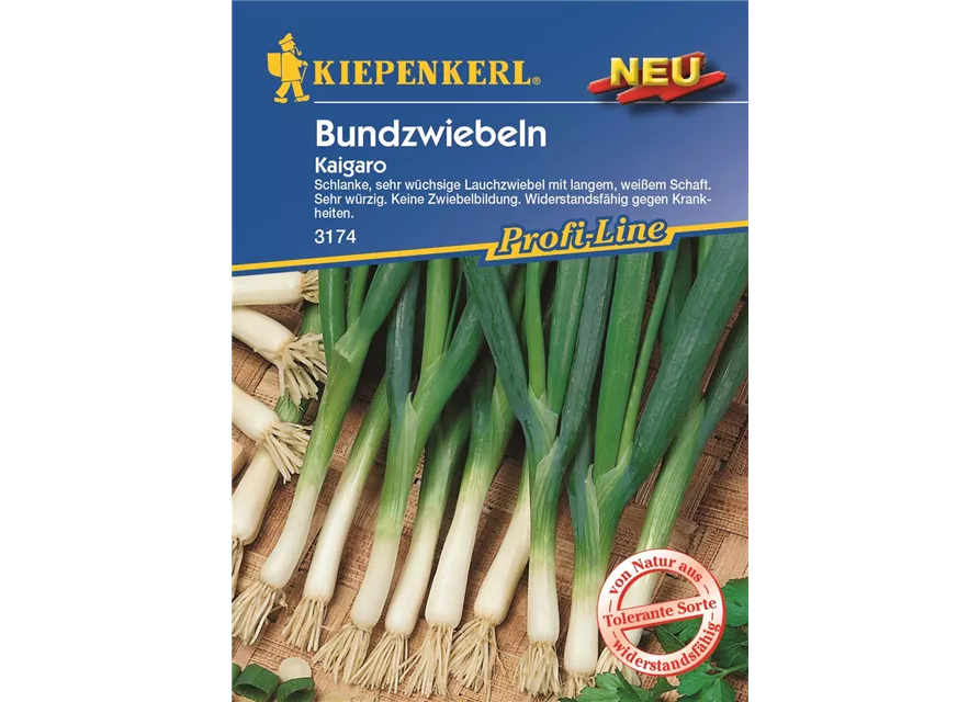 Kiepenkerl Lauchzwiebel Kaigaro PG N