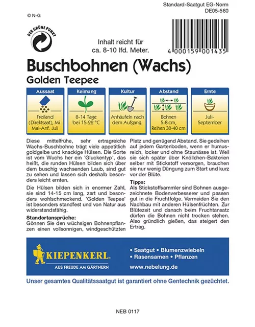 Buschbohne Golden Teepee