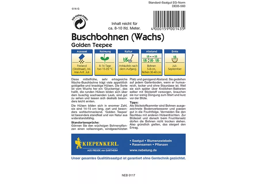 Buschbohne Golden Teepee